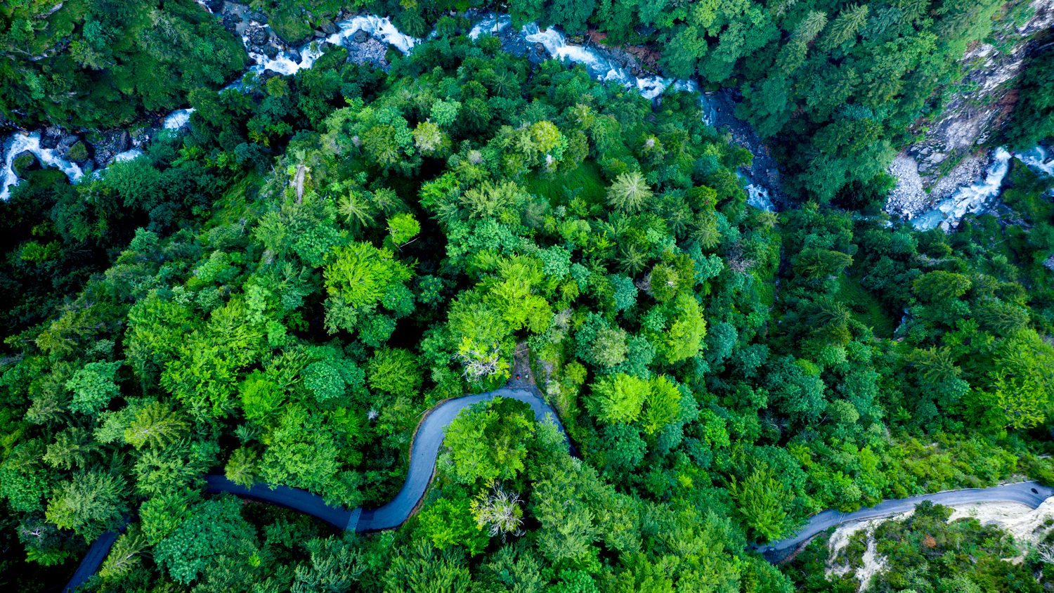 aerial view of a river winding through a forest