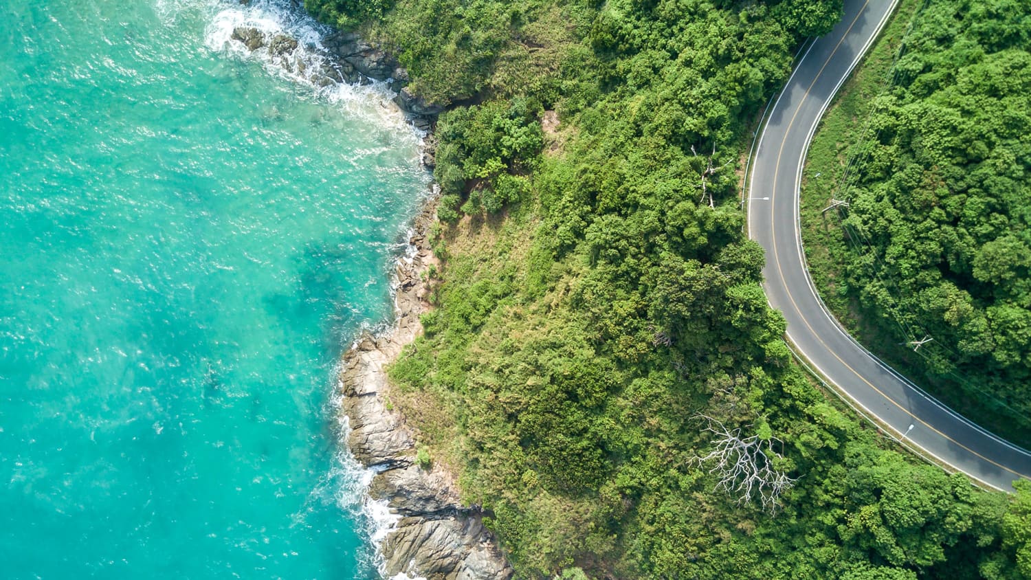 road along a beautiful blue water and tree coastline 