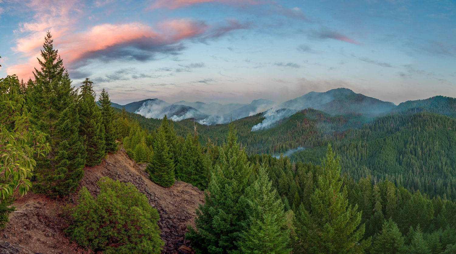 pacific northwest forest overlooking a valley