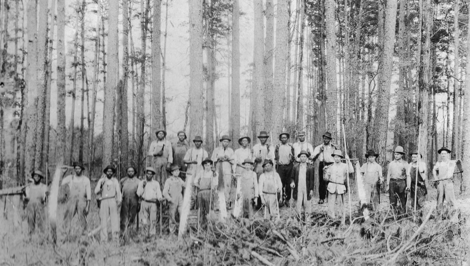 Still image from Maxville archives
