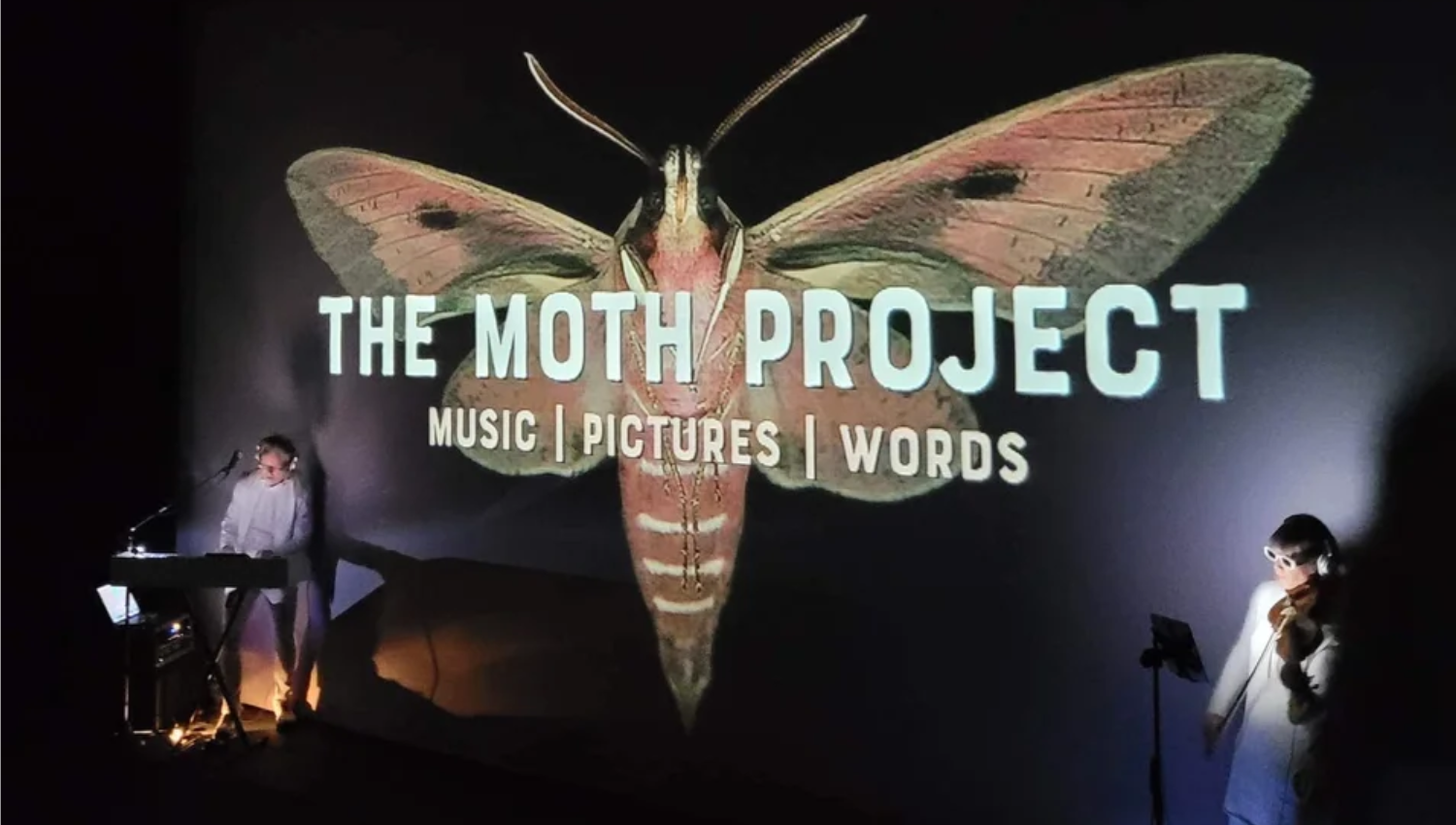 moth project