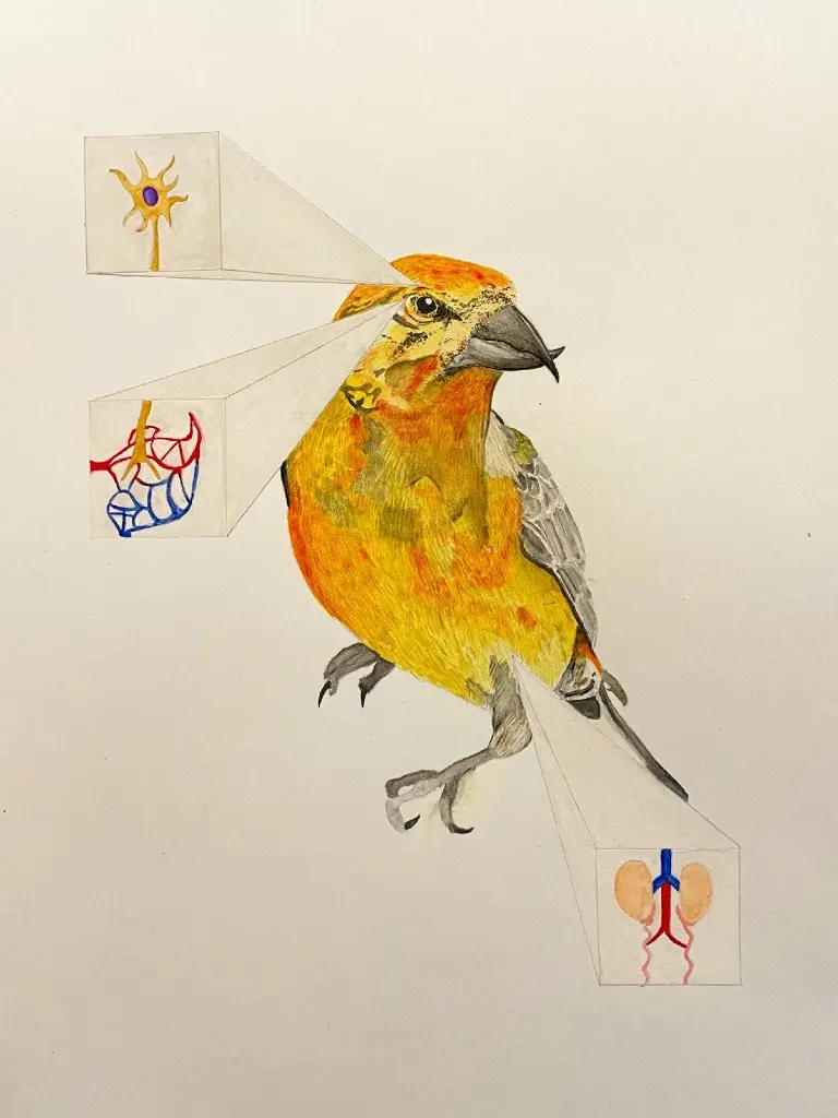 Yellow bird art with abstract elements
