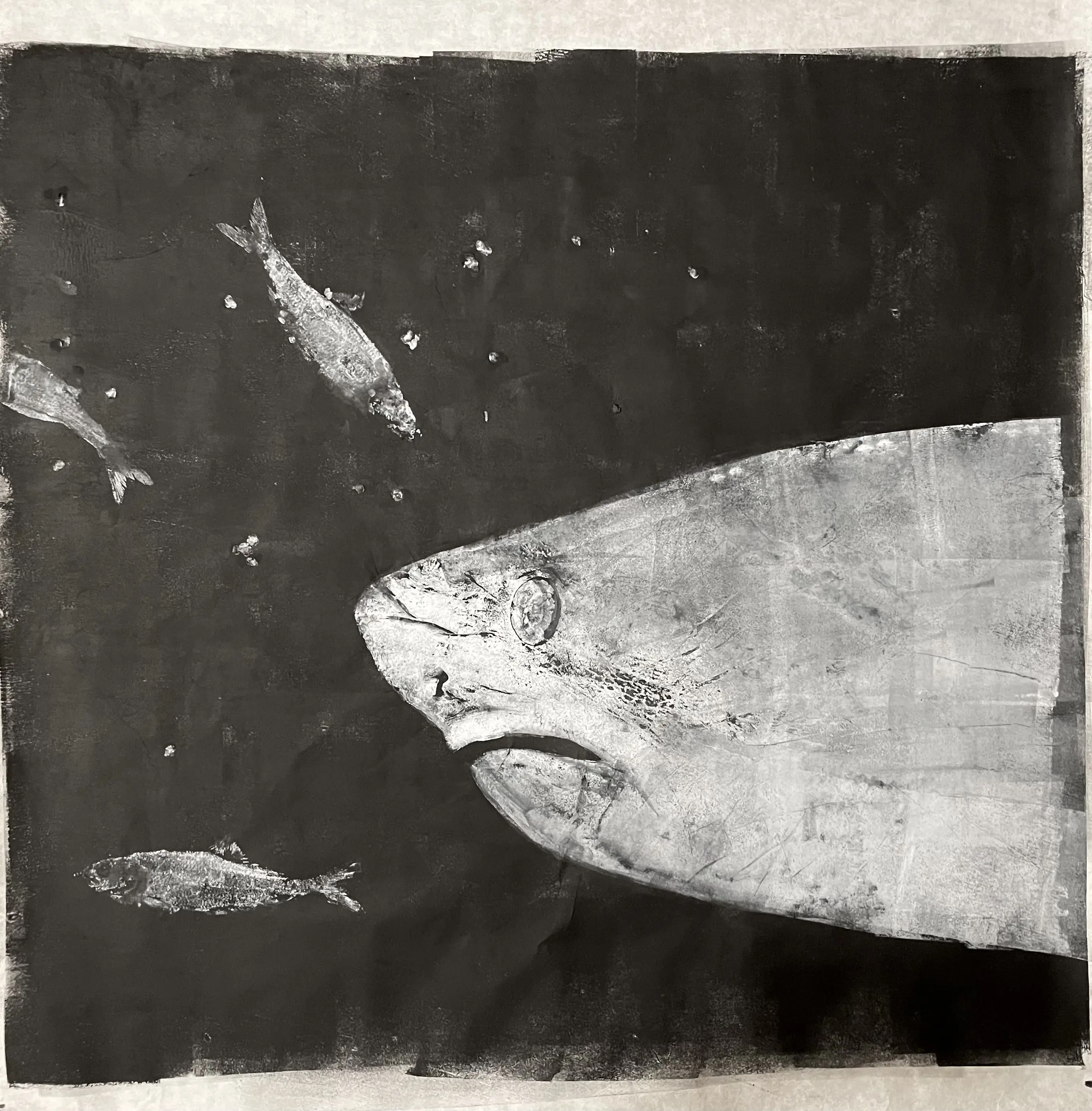 Black and white art of large fish head