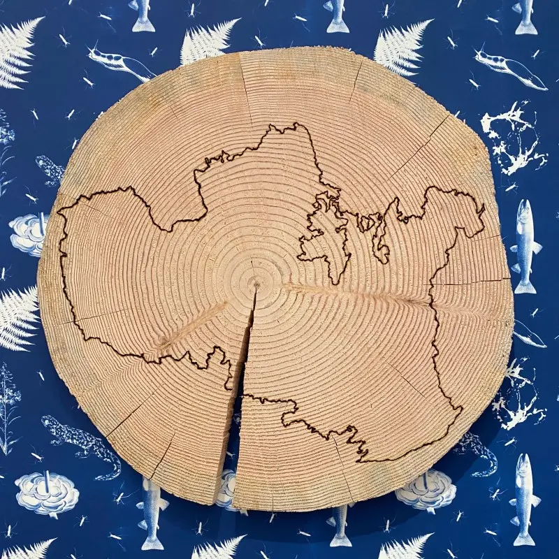 Art made on tree cutout 