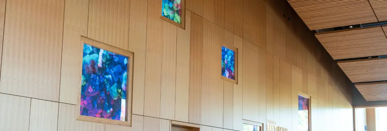 A picture from Whitten's Mooning Nancy display