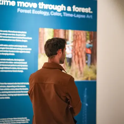 Patrons explore Currents in Stirek Gallery