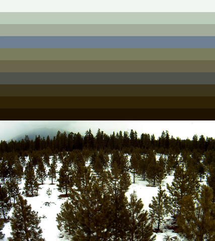 Julia Oldham's work as part of FLUX