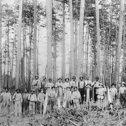 Maxville logging community history BW photo